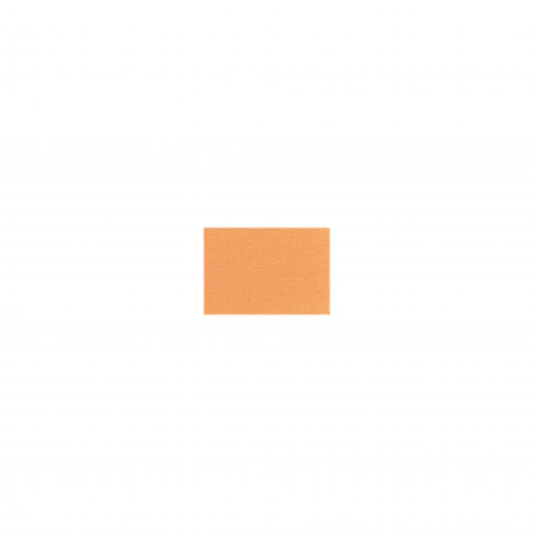 110 C チークカラー 100(オレンジ)