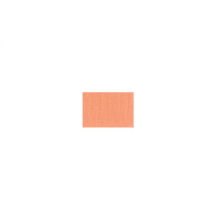 110Cチークカラー103(コーラルオレンジ)
